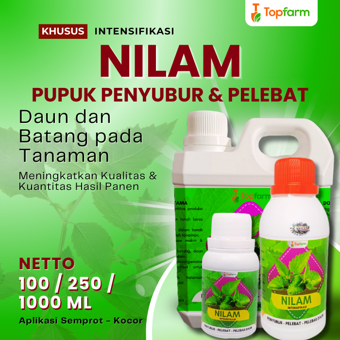 Pupuk Nilam Penambah Minyak / Pupuk Nilam / Pupuk Cair Untuk Nilam / Pupuk Untuk Tanaman Nilam / Pup
