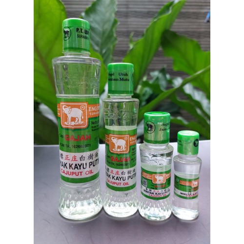 MINYAK KAYU PUTIH GAJAH