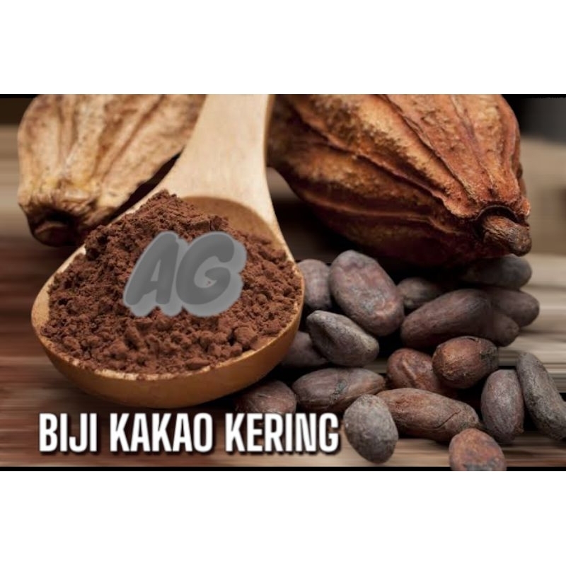 

biji kakao/coklat kering termurah