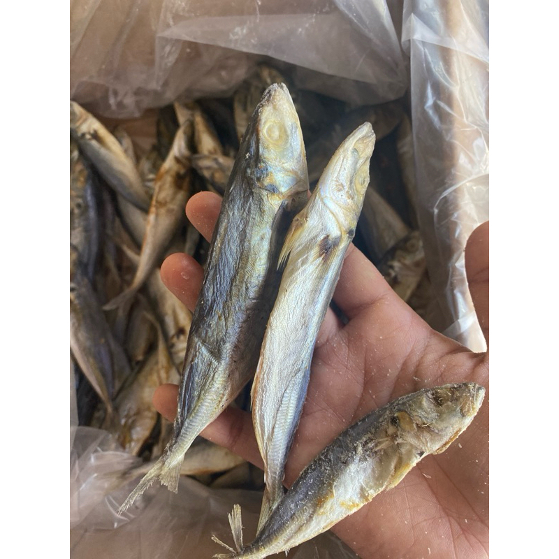 

Ikan asin rembang