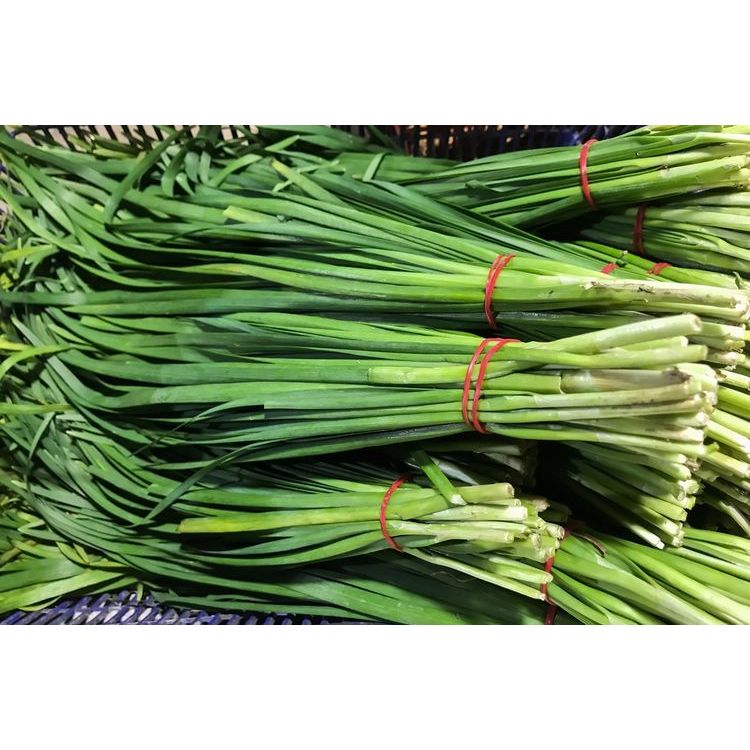 

Daun Kucai Super 250gr 500gr 1kg Sayuran Segar Fresh