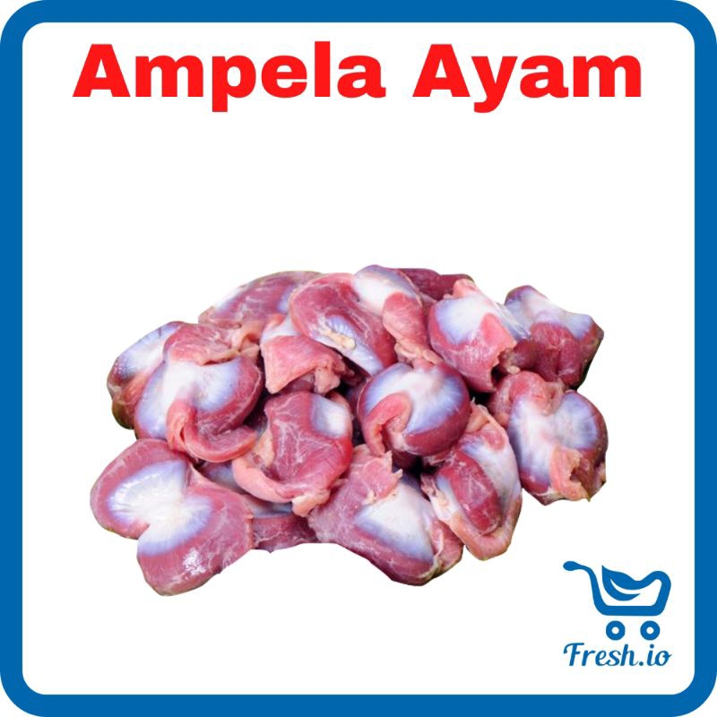 

Ampela Ayam