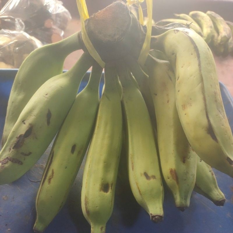 

Pisang Nangka 1000 gram