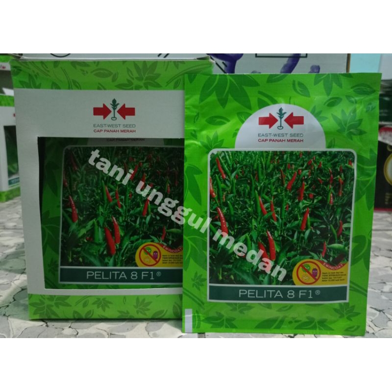 Benih Cabe Rawit Pelita 8 F1 isi 2250 butir