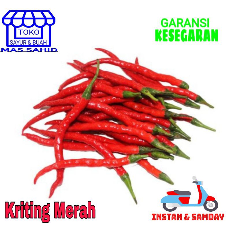 

Cabe Kriting Merah Cabai Merah Keriting