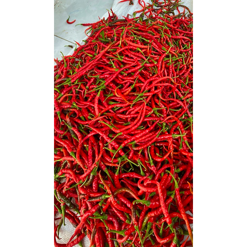 

cabe merah keriting 1kg