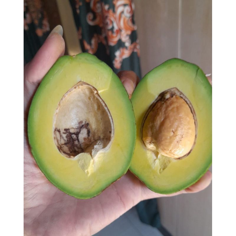 

alpukat mentega murah 1kg isi 2