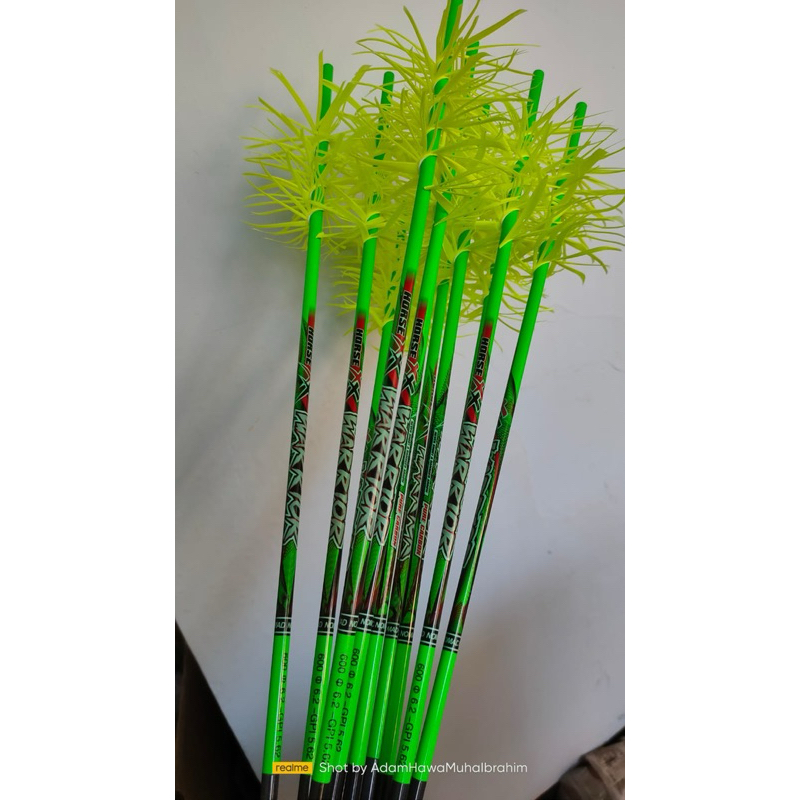 Arrow carbon warrior fluflu