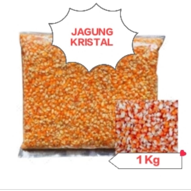 Jagung Kristal 1 Kg Jagung Pakan Merpati Balap Kolong Burung Dara Unggas Ayam Hamster