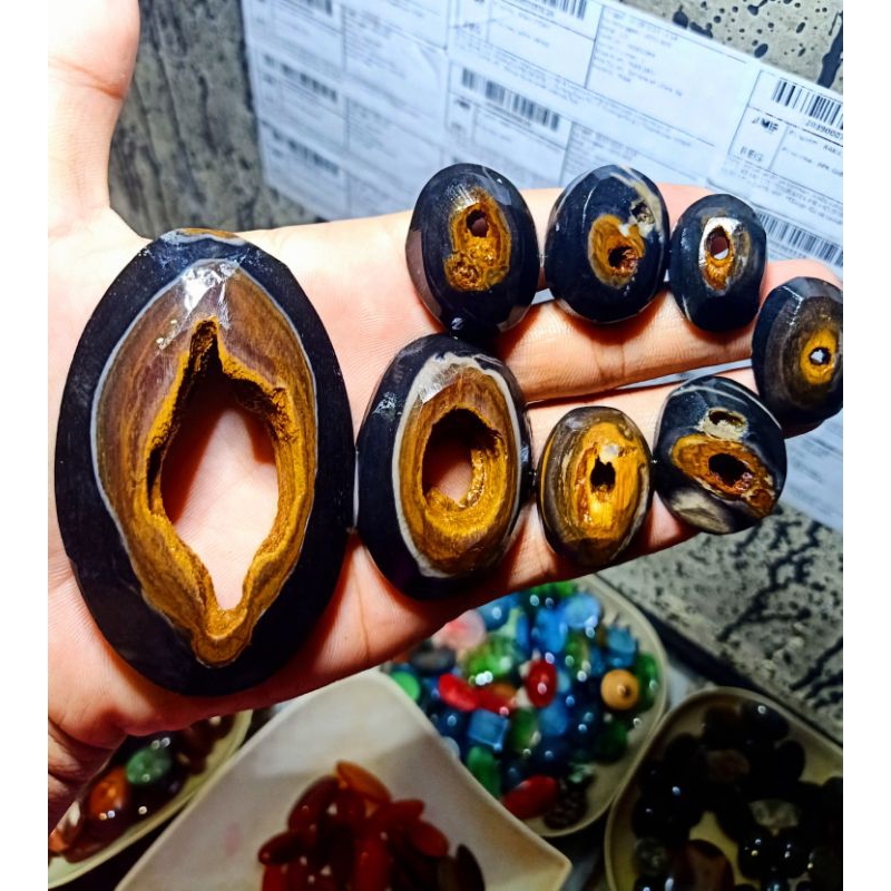 Combong galih kelor fosill  unik