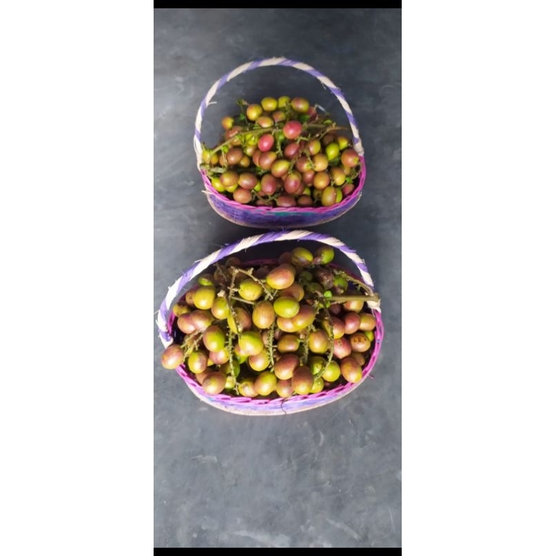 Buah matoa 1kg