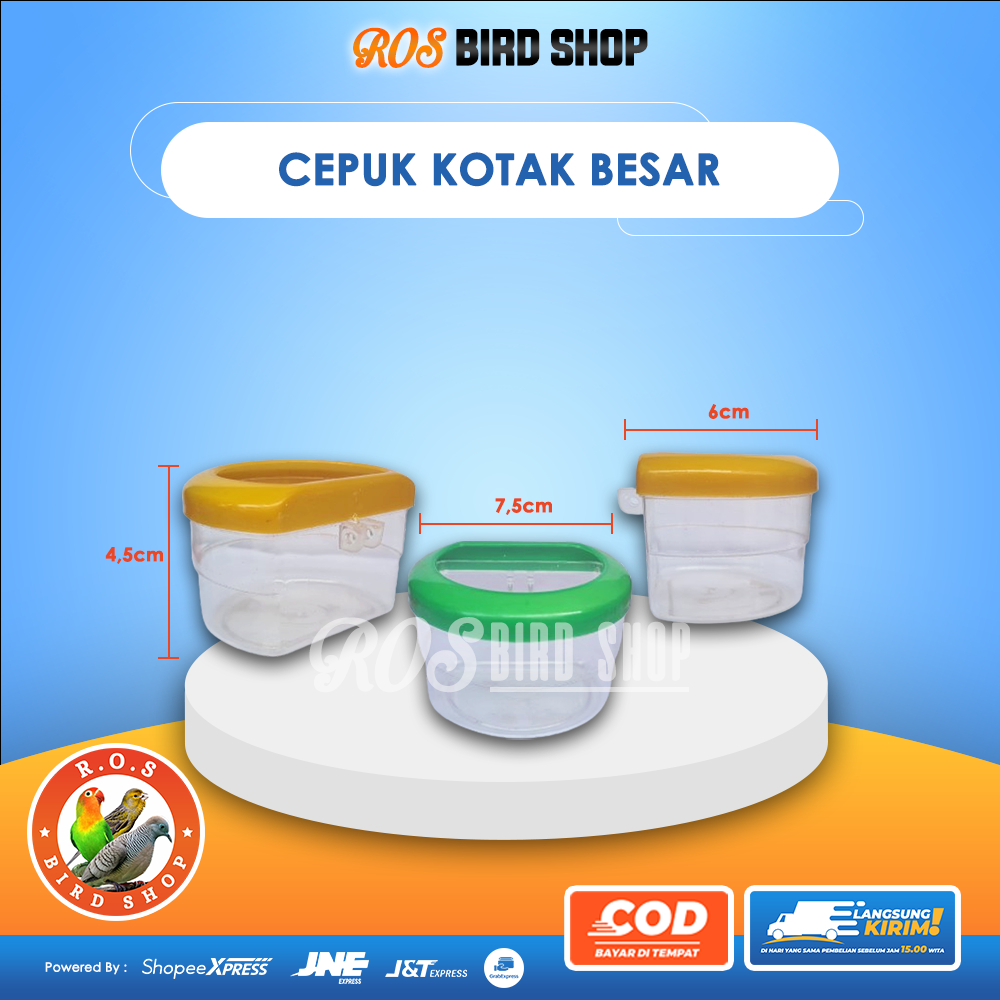 WADAH KOTAK BESAR TEMPAT MAKAN PAKAN MAKANAN MINUM MINUMAN BURUNG PERKUTUT LOVEBIRD MURAI
