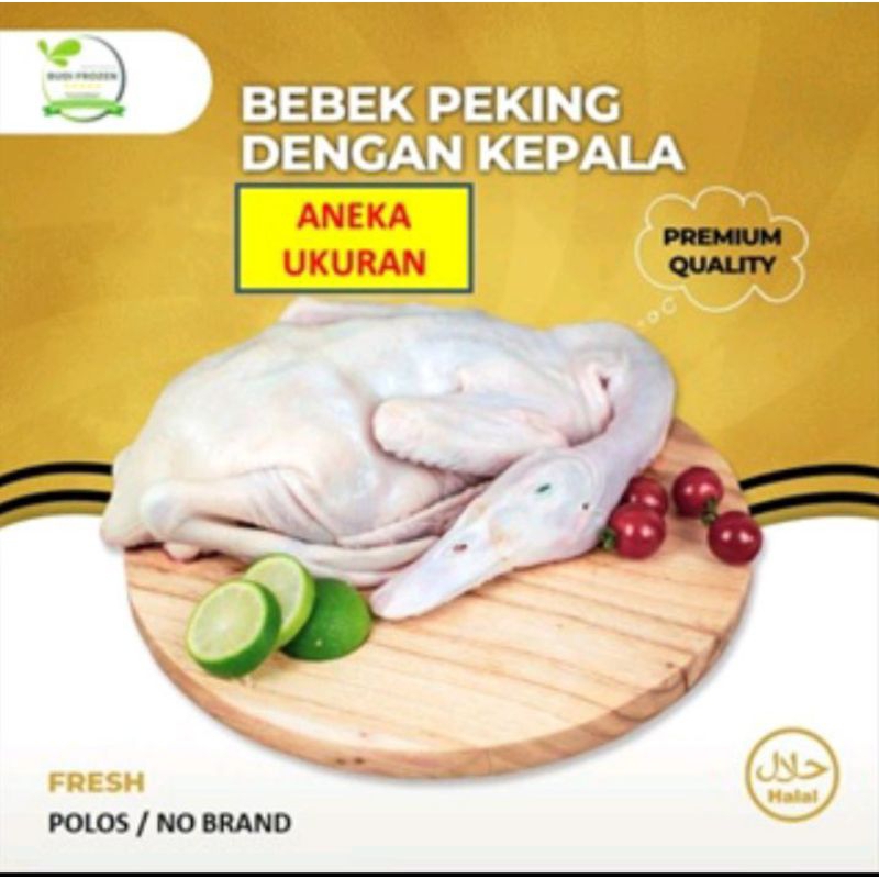 

Bebek 3 ekor utuh 115.000