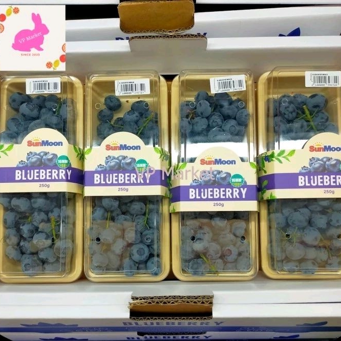 

Blueberry Tangkai Fresh Import | Buah Blueberry 250 grm | 1 Pack