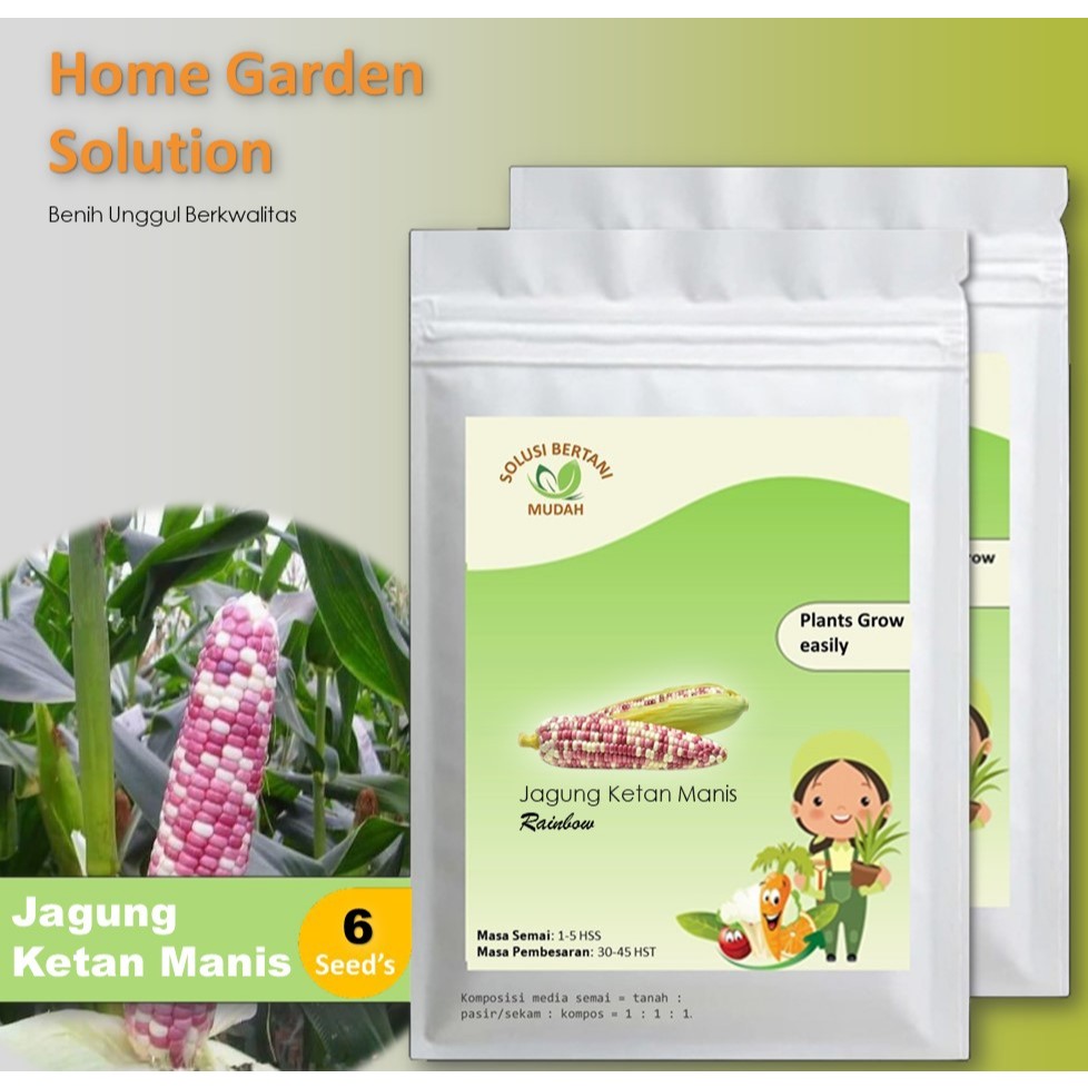 6 Bibit Benih Jagung Ketan Manis Pelangi Rainbow Jutawan F1