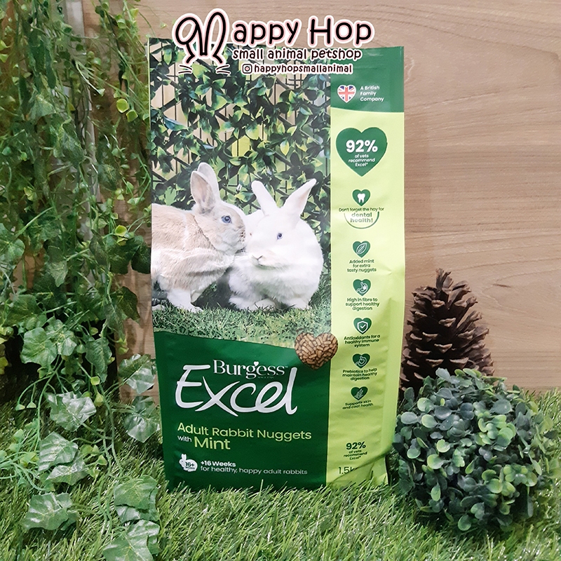 Burgess Rabbit pellet Adult Mint repack 500 gr dan fresh pack 1,5 kg