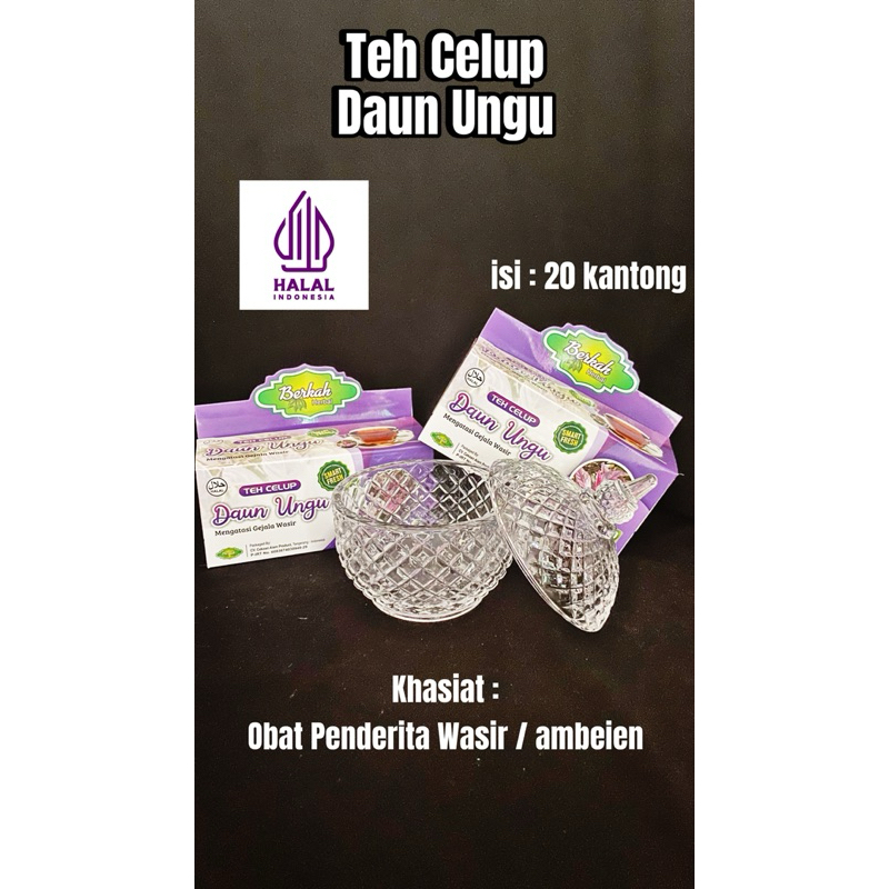 

TEH CELUP DAUN UNGU (Obat Untuk Penderita Wasir atau ambeien)