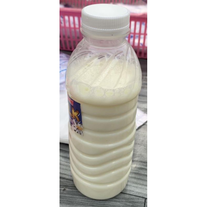 

Susu Sapi Segar Murni