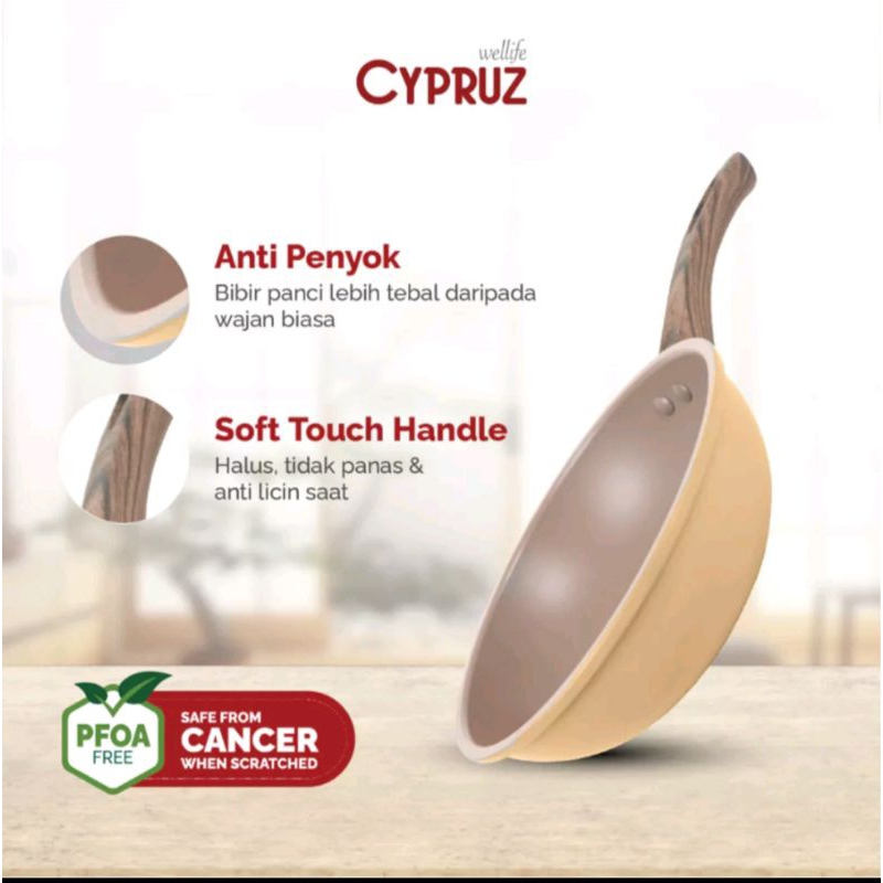 CYPRUZ WOK PAN 20CM/DAILY HERCULES SERIES