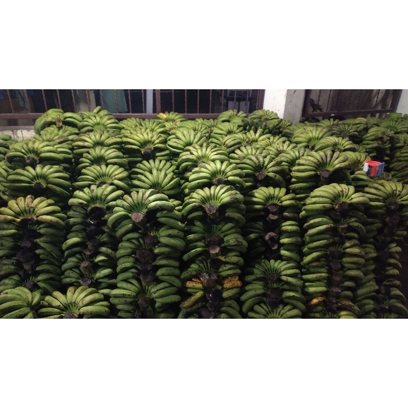 

Pisang Barangan Mentah 1 sisir