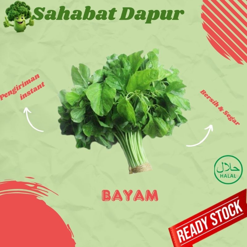 

Bayam - sayur segar - Sahabat Dapur Delivery