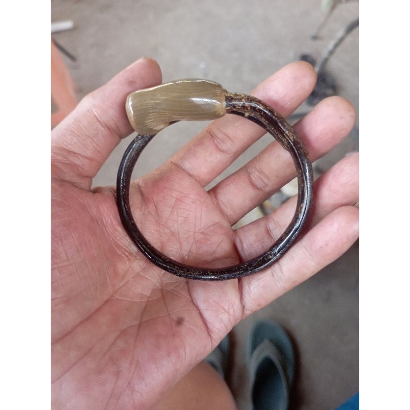 gelang akar Bahar bonggol kantoran