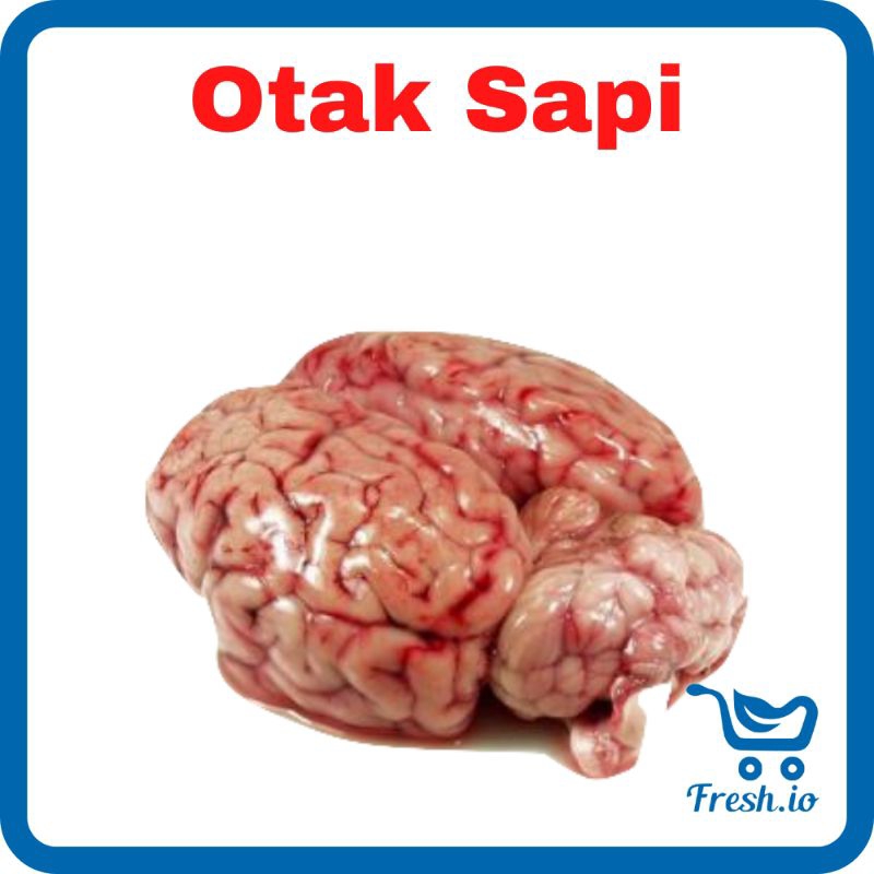 

Otak Sapi Utuh