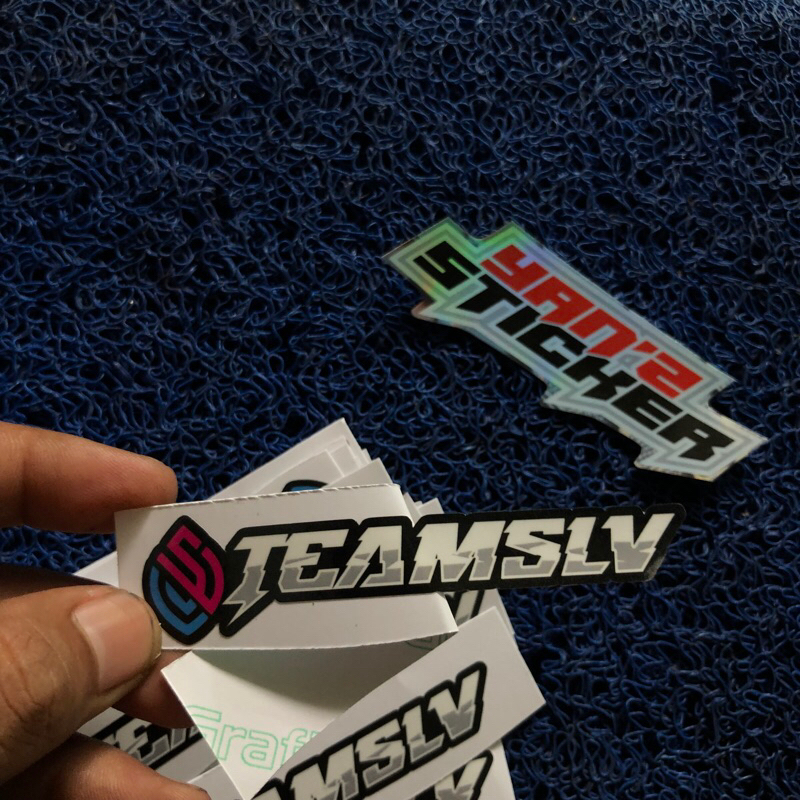 

sticker teamslv 046