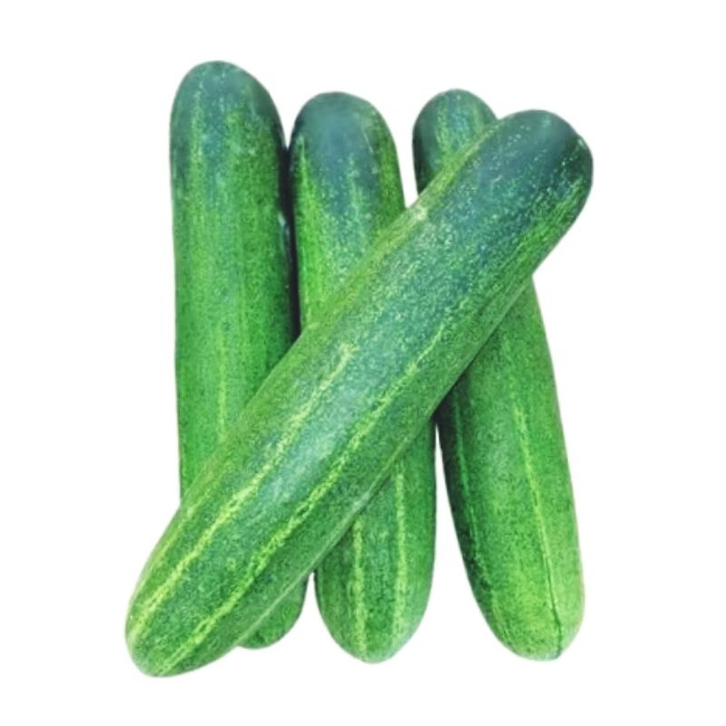 

Timun segar 500gr