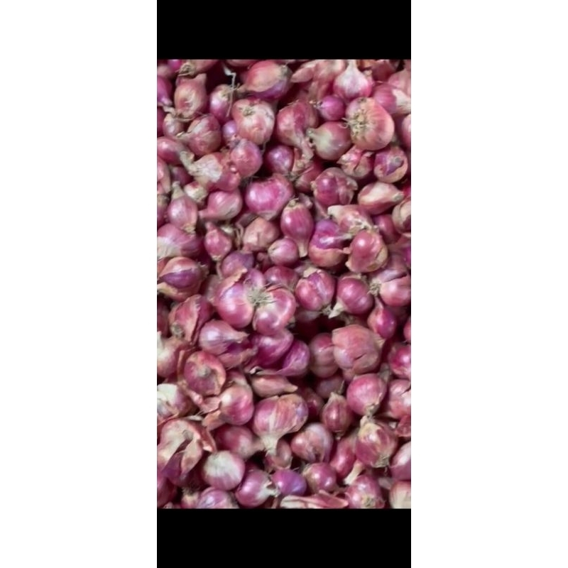 

2 KG BAWANG MERAH UKURAN TANGGUNG - BESAR