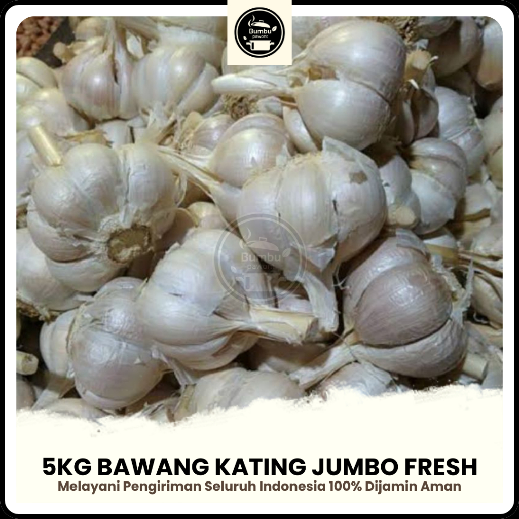 

Bawang Putih Kating Jumbo 5 Kg Bersih Fresh