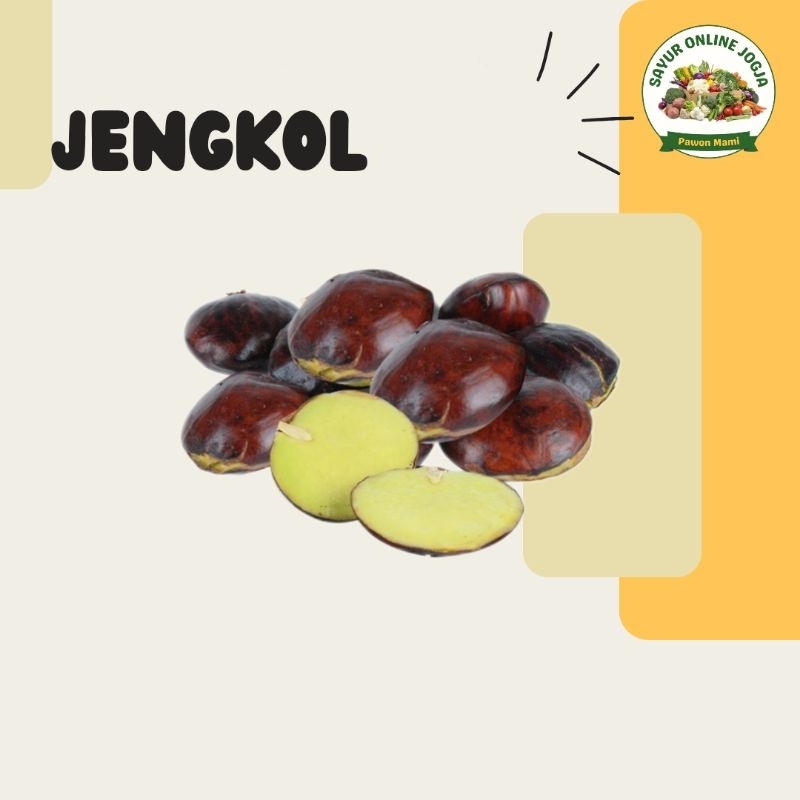 

Jengkol 250gr - PAWON MAMI SAYUR ONLINE JOGJA