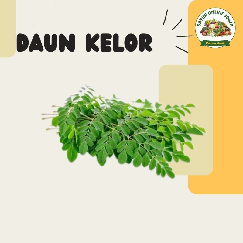 

Daun kelor per ikat - PAWON MAMI SAYUR ONLINE JOGJA