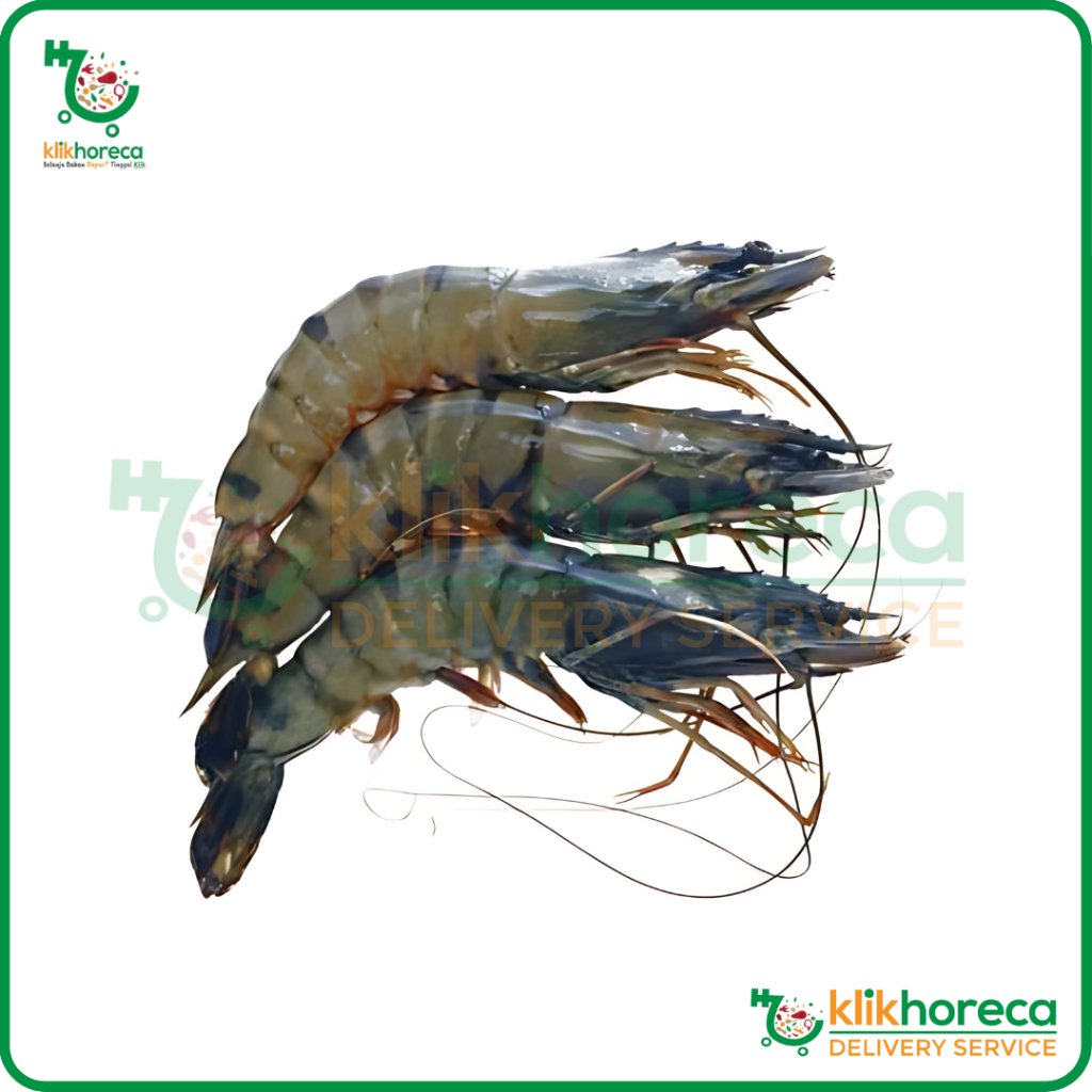 

Udang Tiger Frozen 1 Kg UK 16-20 | Tiger Prawn