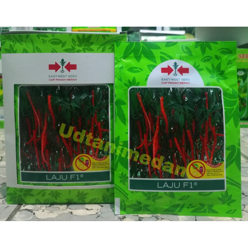 Benih Cabe Keriting Laju F1 isi 1750 butir