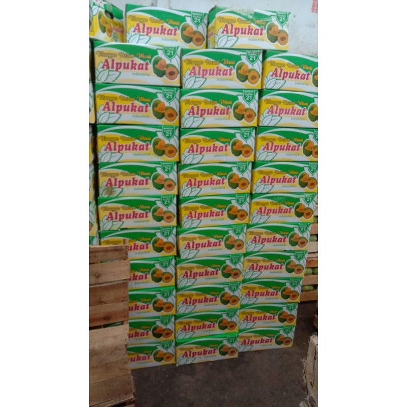 

mangga alpukat 5kg