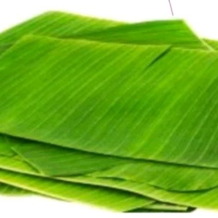 

Daun Sobek Pisang Batu lebar 20-25 cm ( isi 20 lembar)