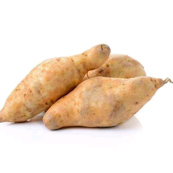 

Ubi Cilembu Mentah 1 kg/Ubi Madu Cilembu Fresh Kediri