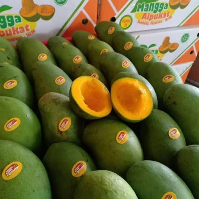 

Mangga Alpukat ± 1,5kg