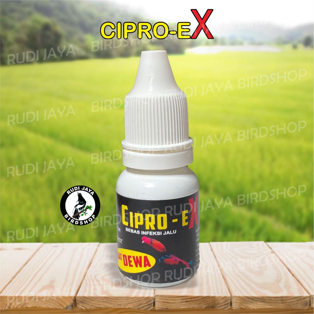 CIPRO-EX CIPRO EX OBAT DEWA AYAM AMPUH OBATI SEGALA PENYAKIT AYAM SNOT CRD LUMPUH NGOROK FLU BURUNG