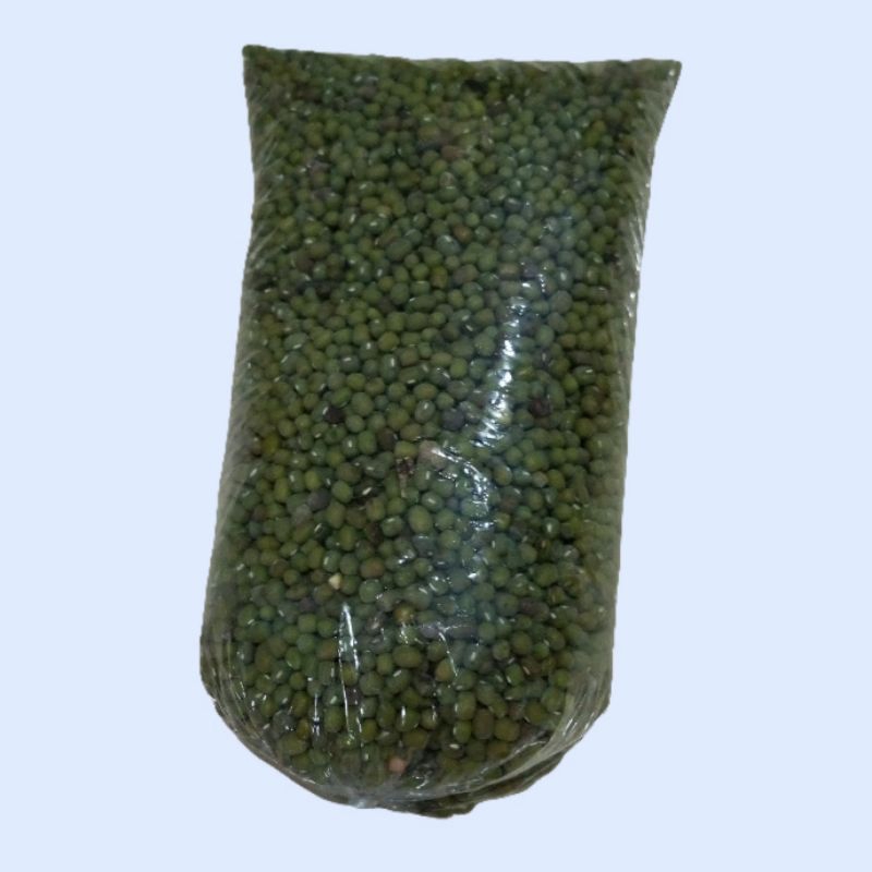 

kacang hijau baru di panen