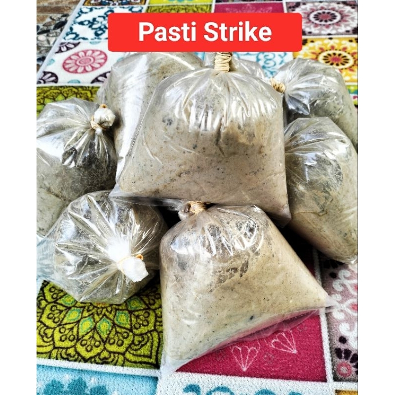 KUCUR PREMIUM ALFISYAH BINJAI UMPAN GACOR MANCING BAUNG