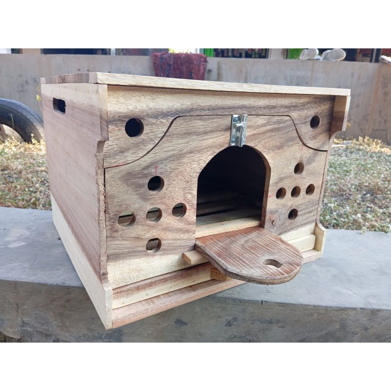 Gupon/pagupon Merpati dara dua pintu