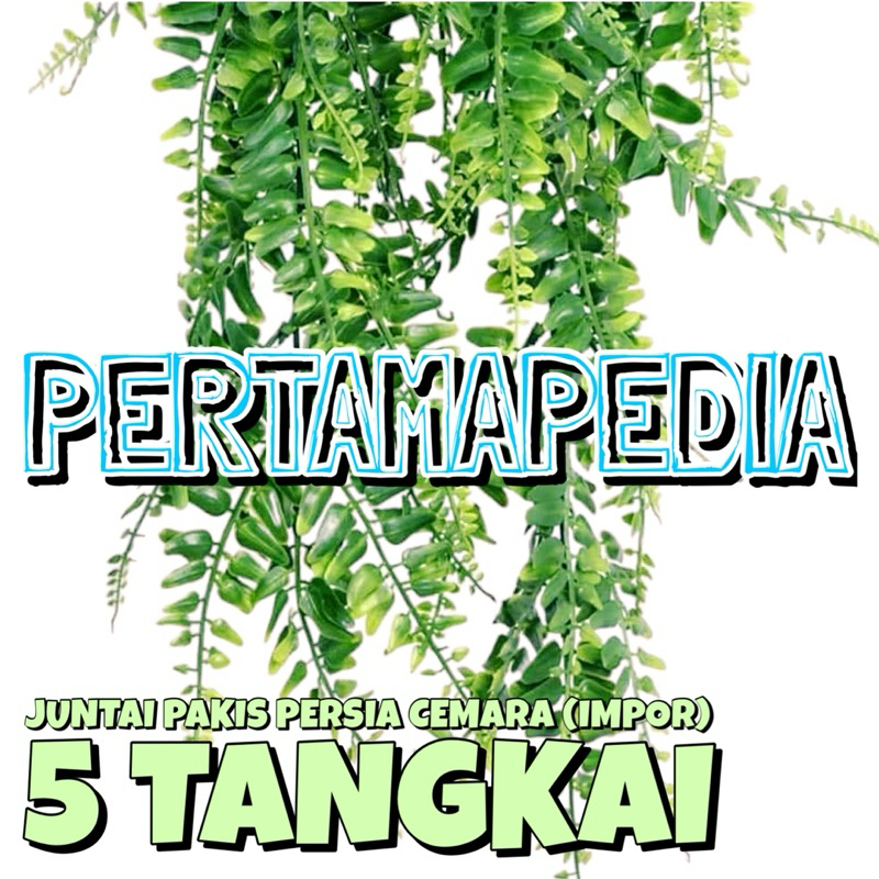 Juntai Cemara Persia X5/ Juntai Cemara Plastik Impor/ Daun Plastik/ Daun Juntai Plastik/ Bunga Plast