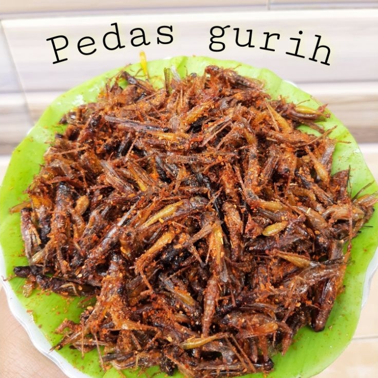 

Discount belalangwalangsimeut goreng kecil oleh2 tradisional majalengka