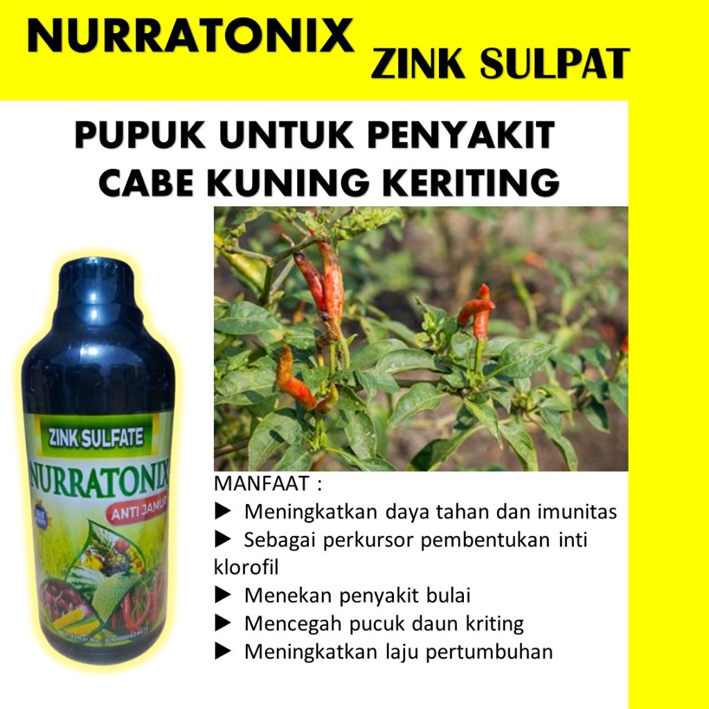 zink nurratonix 500 ml Obat Virus Kuning Gemini & Keriting Daun Cabe, Terong, Kacang Panjang, Tomat 
