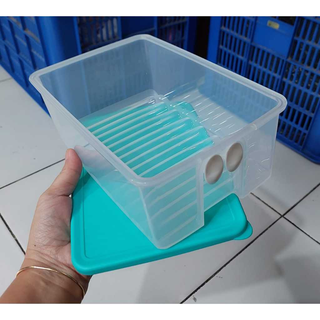 TUPPERWARE Fridgesmart Medium 1,6 Liter