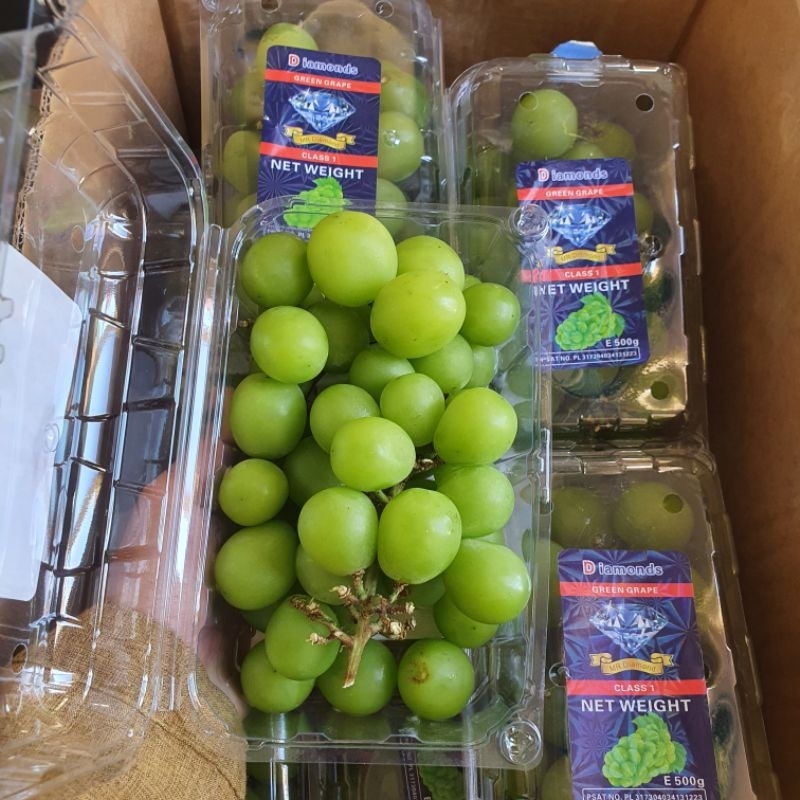 

Anggur Hijau Shine Muscat Tanpa Biji/Buah Import Segar