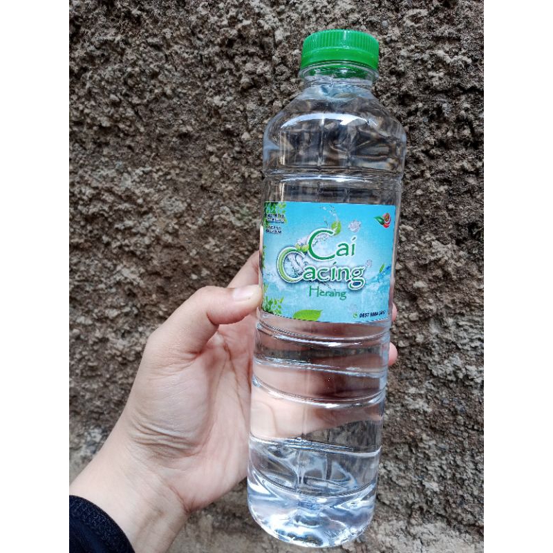 Air Cacing Bening Asli Tidak Bau Amis 500ml