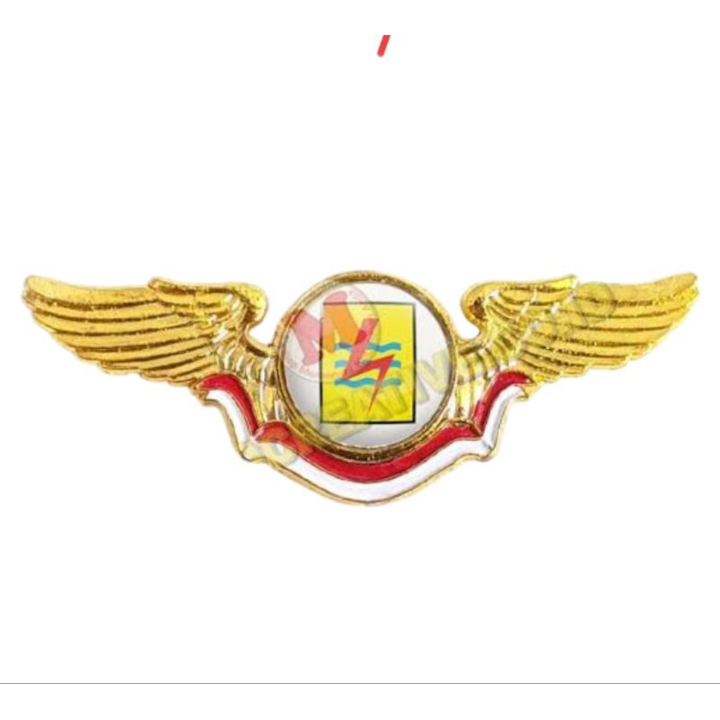 pin wings logo magnet logo custum